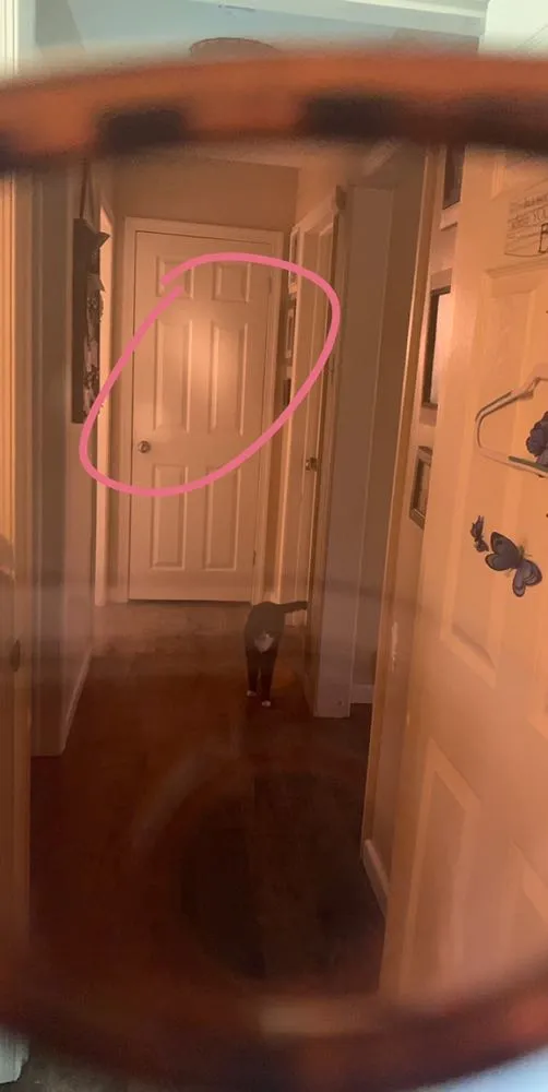 Sunglasses - Image 3