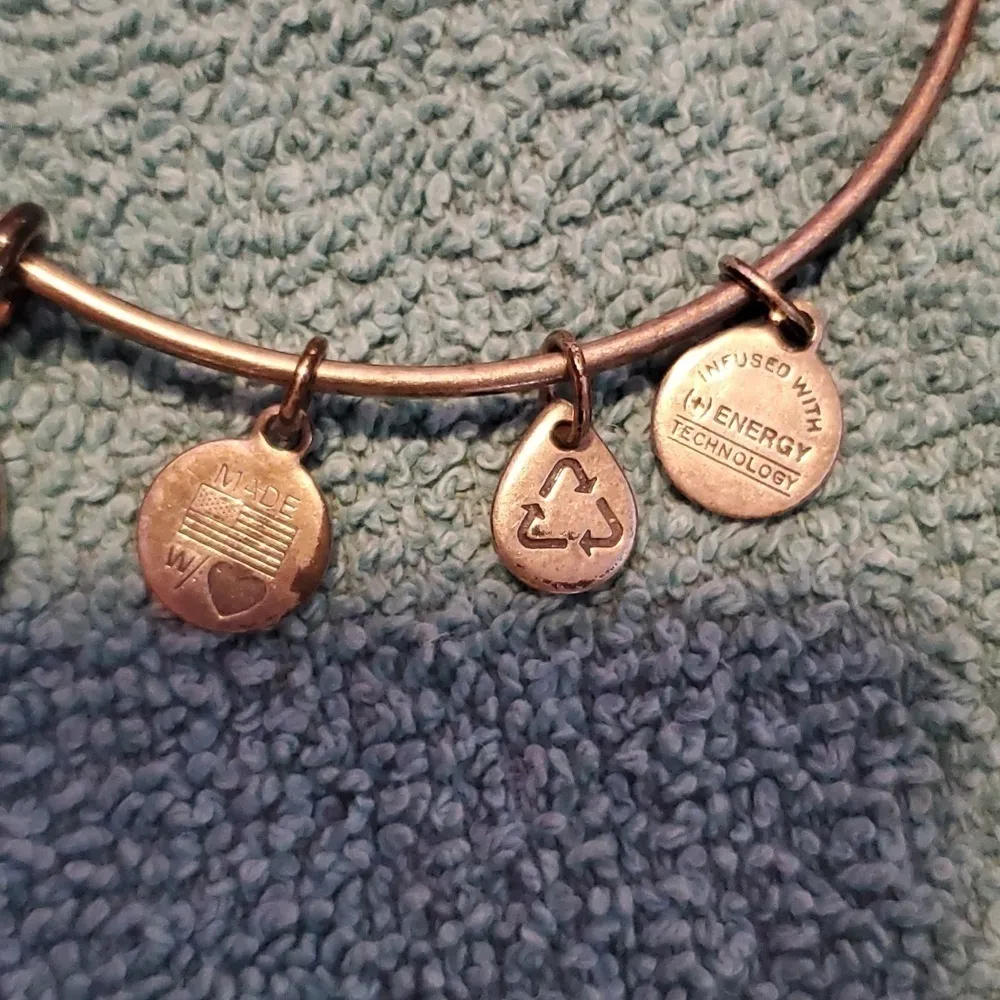 Alex & Ani Bangle Bracelet - Image 3