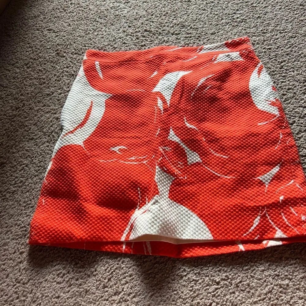 J crew apple skirt 0 - Image 3