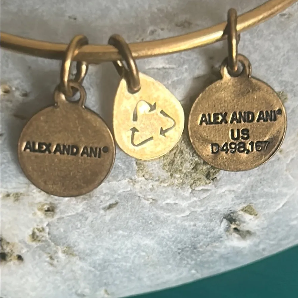 Alex and Ani Phoenix Rafaelian Gold Tone Expandable Wire Bangle Charm Bracelet - Image 4
