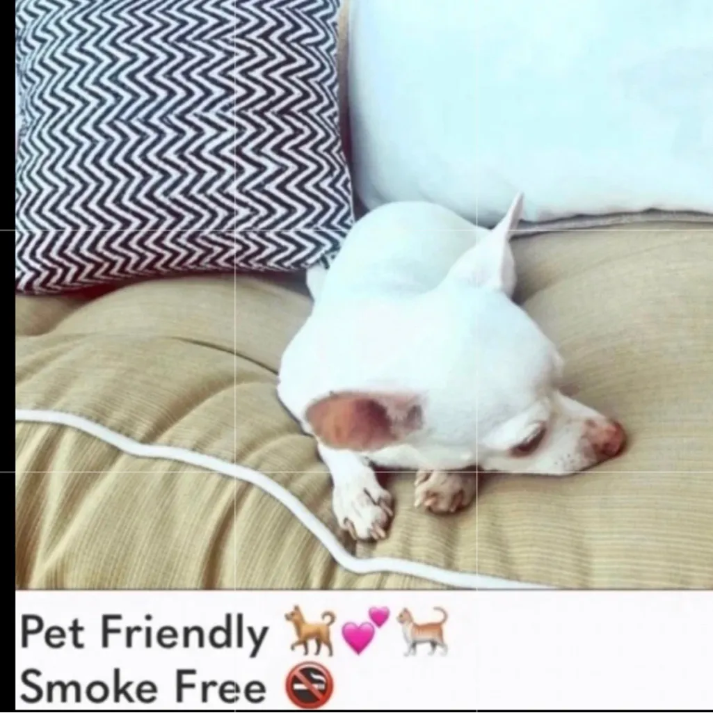 Arnhem Azalea Fringe Kimono in Pink worn twice EUC oversized XS/S $ 225 retail - Image 16