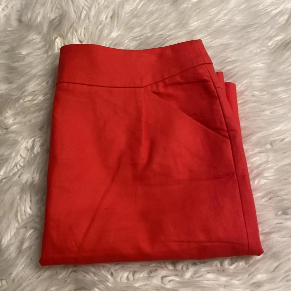 The Pencil Skirt from J.Crew size 10 excellent condition - Image 10