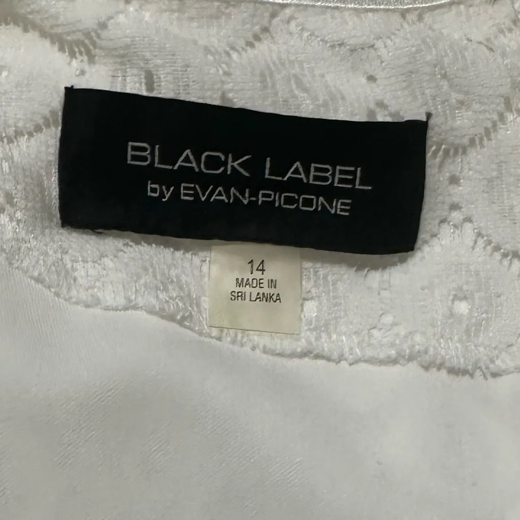 Evan Picone White Lace Dress Sz 14 Cap Sleeve Fit &. Flare Boho Beachy Church - Image 3