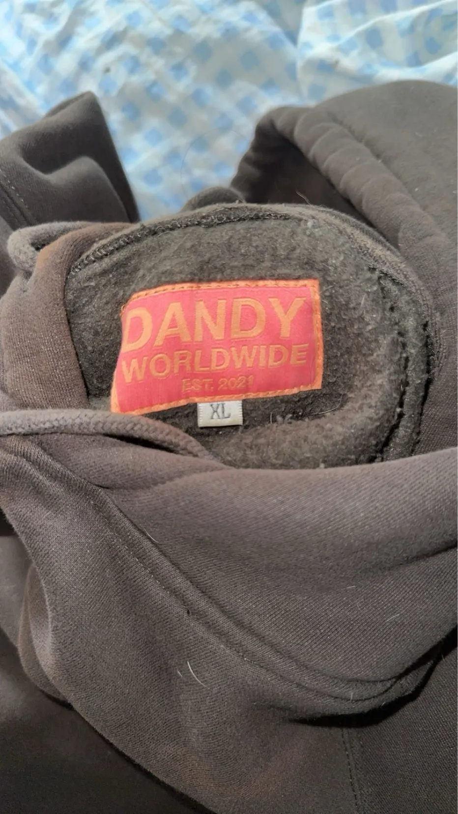 Dandy Worldwide Hoodie - Image 4