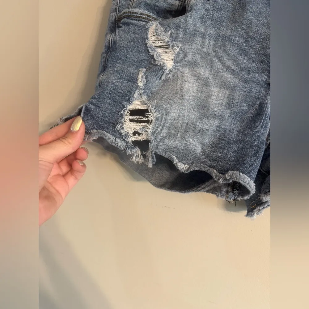 STS Blue Distressed Shorts - Image 3