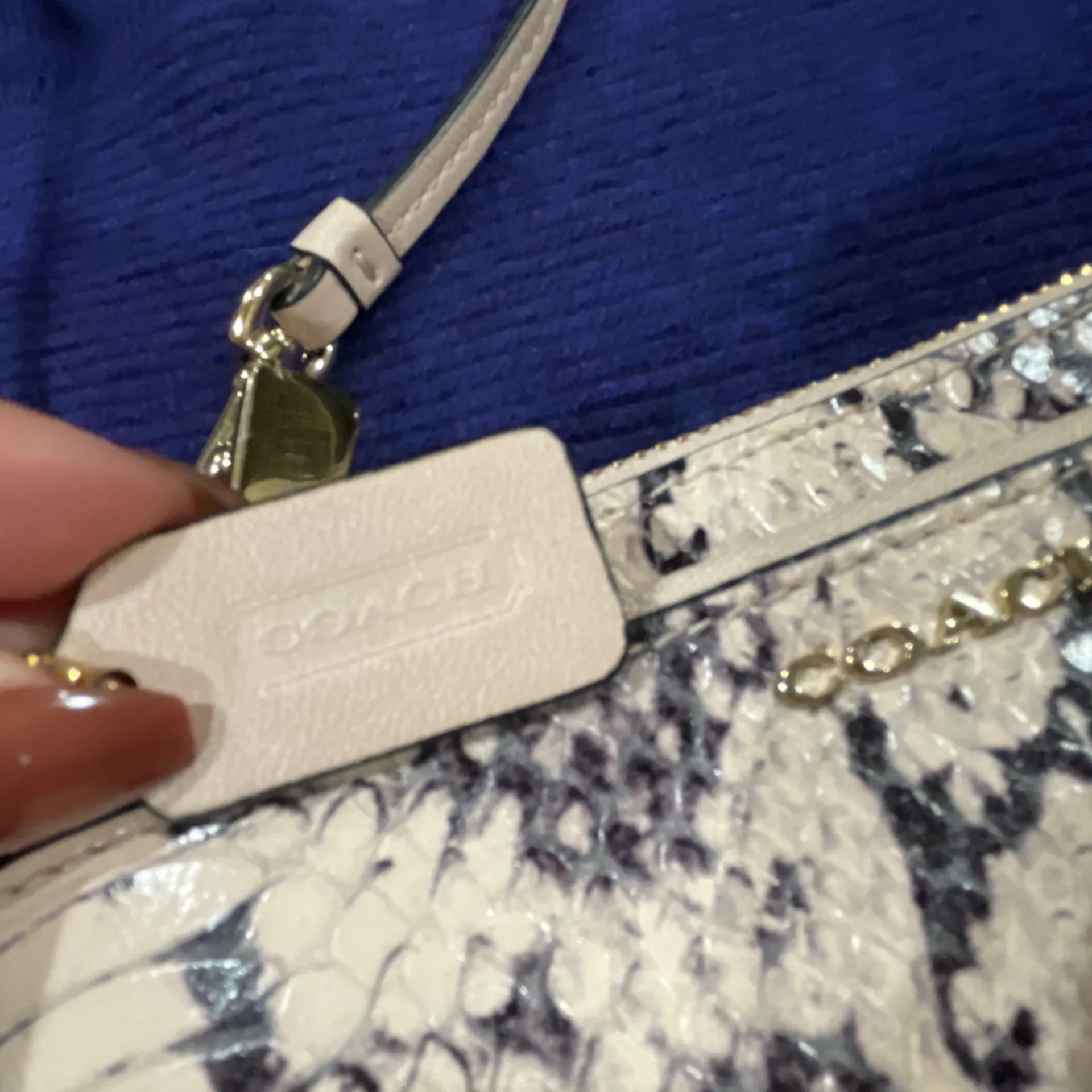 Coach 👜  Madison Python Embossed Double Zip Wristlet – Light Blush(B40) - Image 3