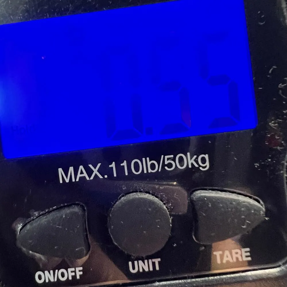 Sharagano Blouse Womens S White Bell Slit Sleeve Asymmetric Layers Modern Fairy - Image 16