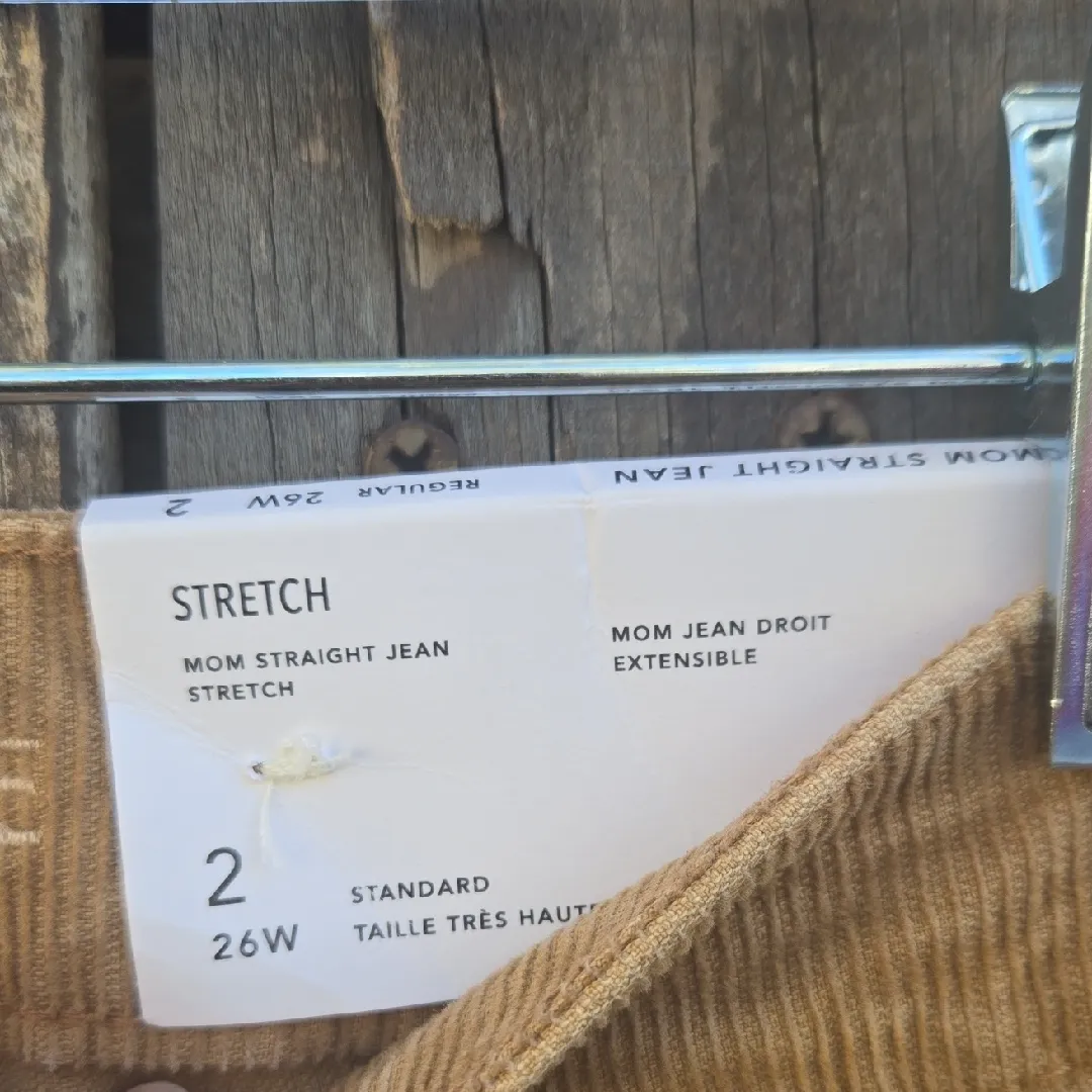 American Eagle Outfitters Tan Corduroy Pants - Image 3