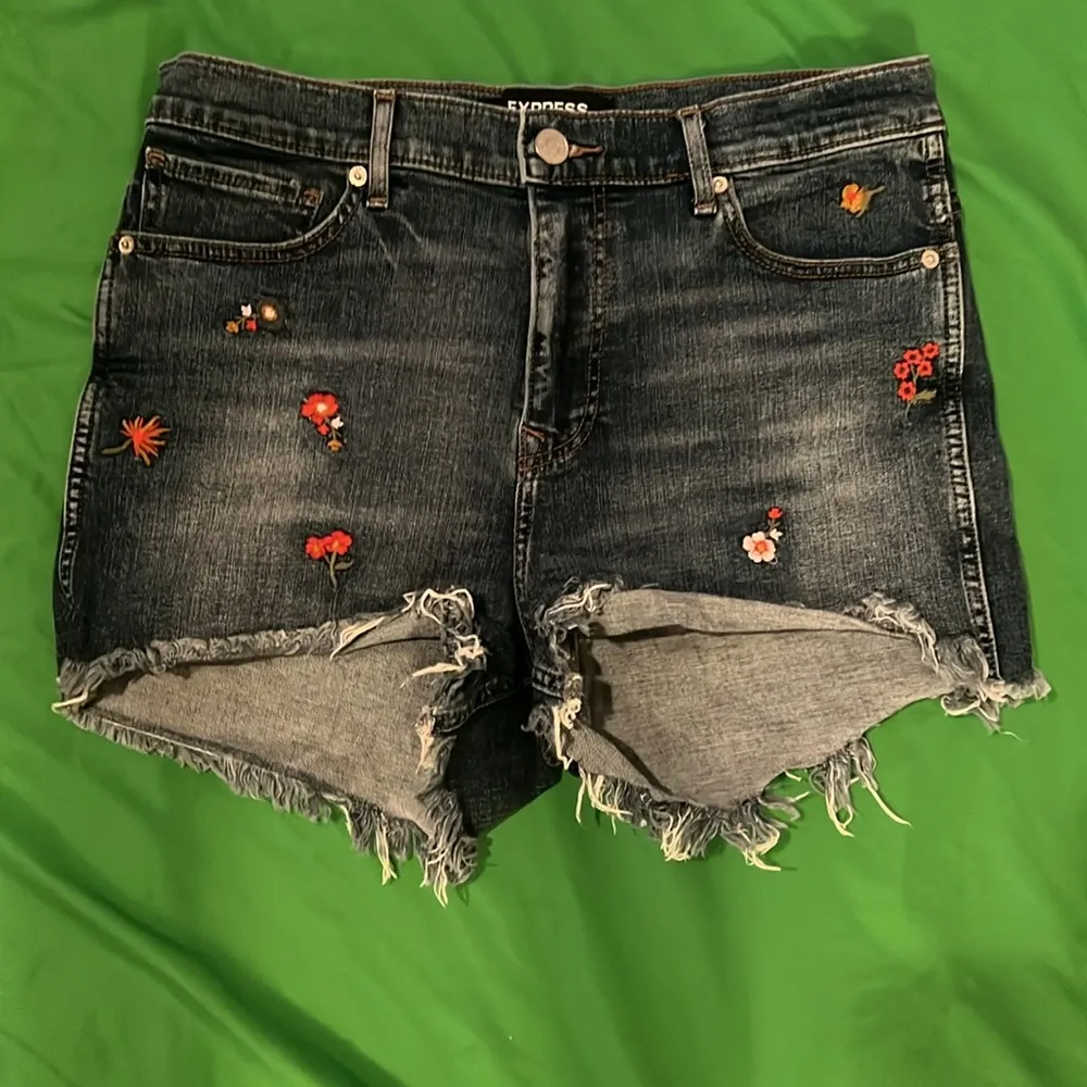 Express Embroidered Denim Shorts size 10 - Image 2