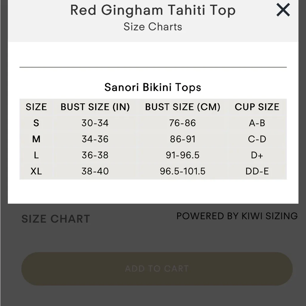 Red Gingham Bikini top Size L - Image 9