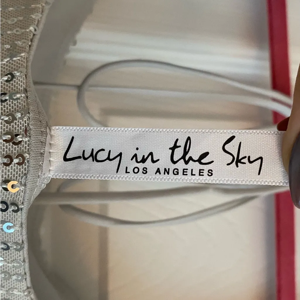 Lucy in the Sky Shimmering Silver Sequin Dress - Image 3