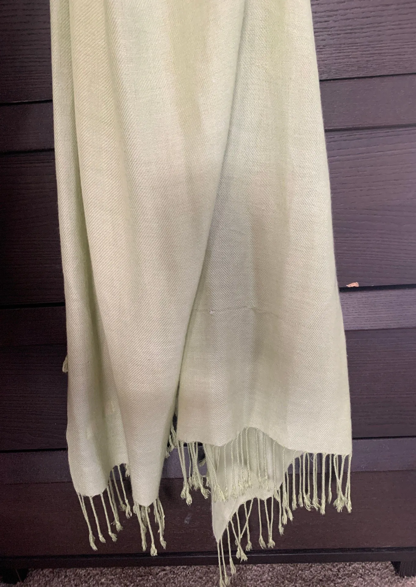 Pashmina Pashmire Baby Green Scarf  - Image 4