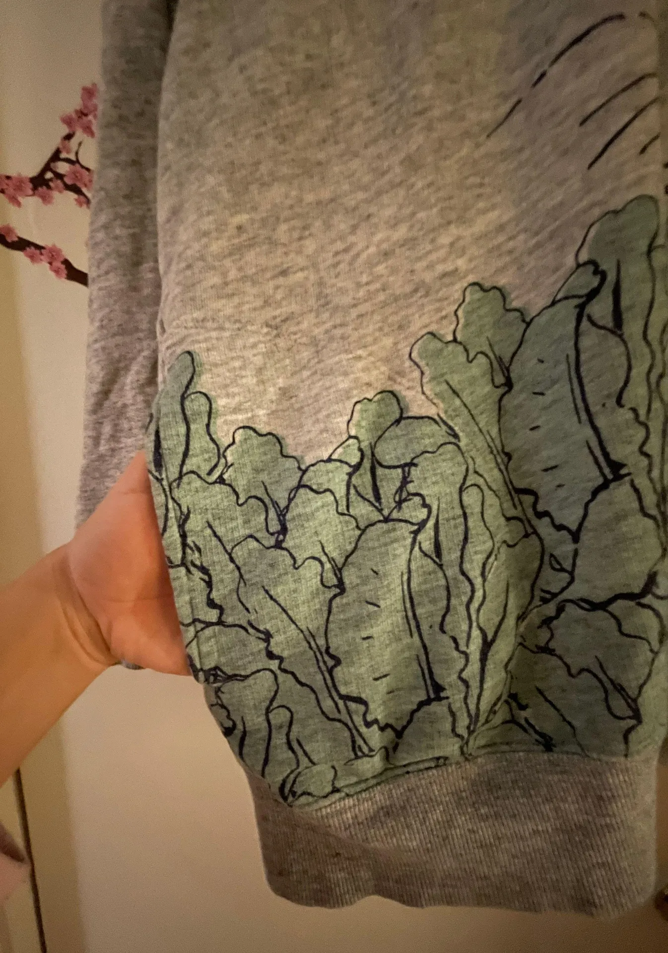 Peter Rabbit Hoodie - Image 3