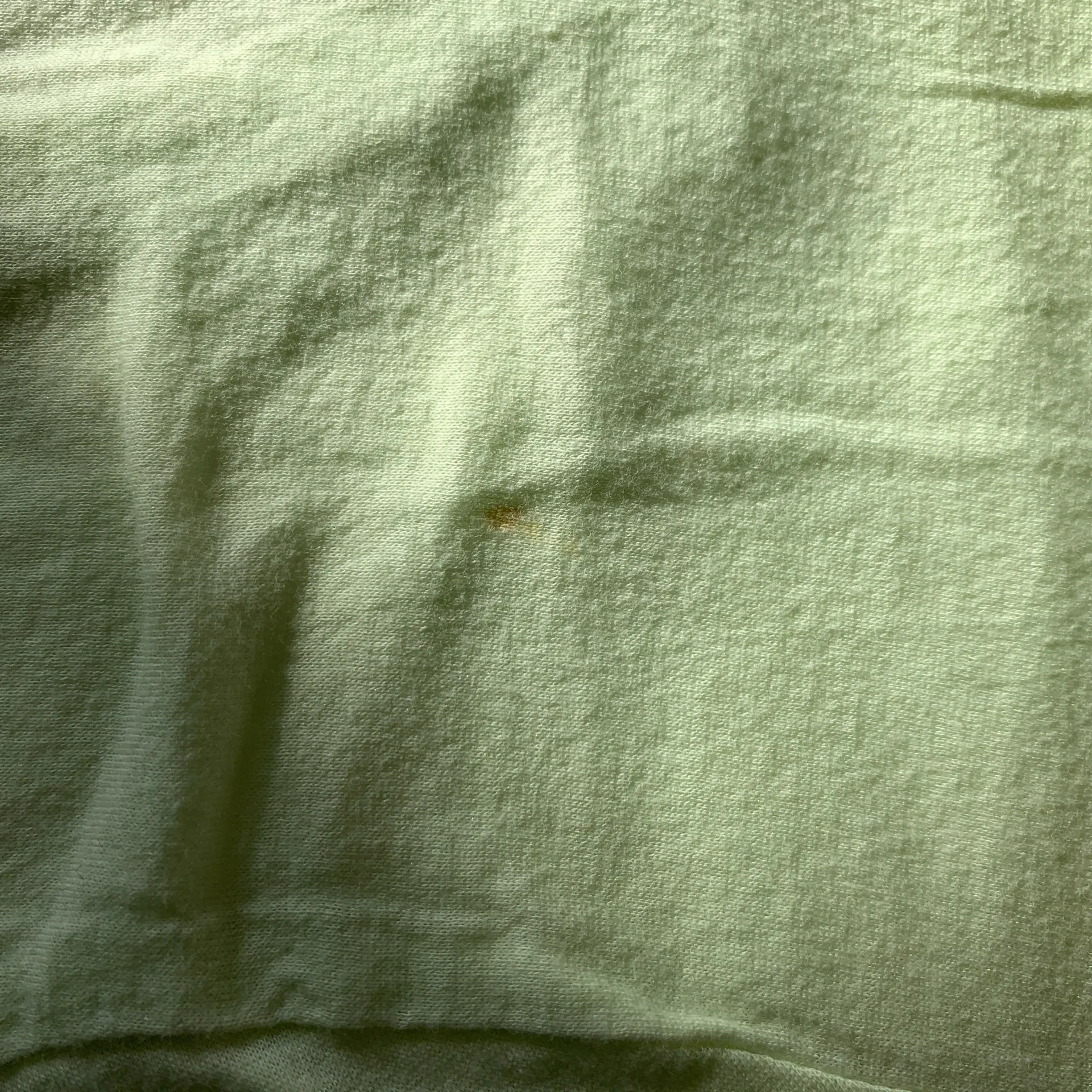 Light Green T-Shirt - Image 5