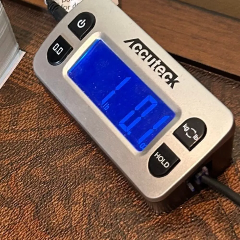 Wild Fable Jean Shorts Womens 14 Blue High‎ Rise Denim Distressed Bermuda NEW - Image 11