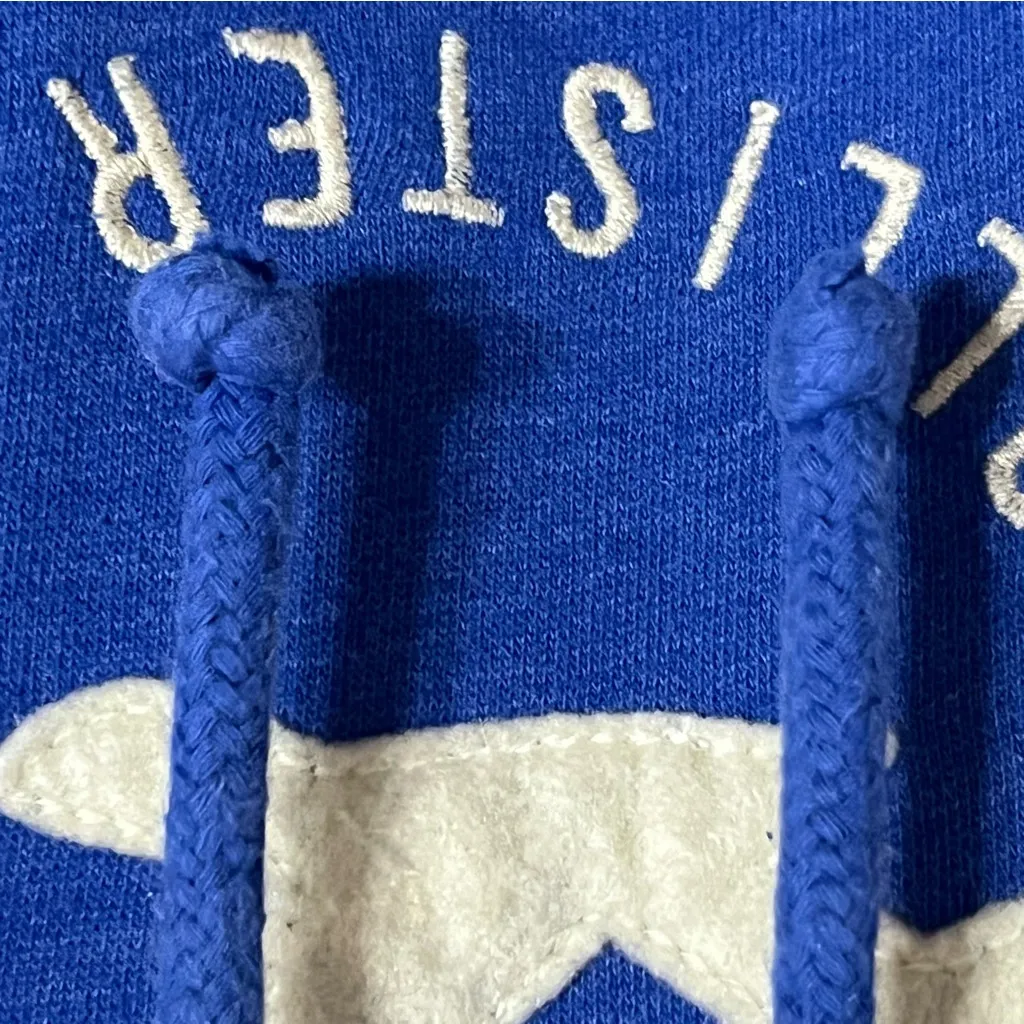 Hollister Pullover Sweatshirt Bird Graphic Print Women’s Size Medium Blue - Image 3