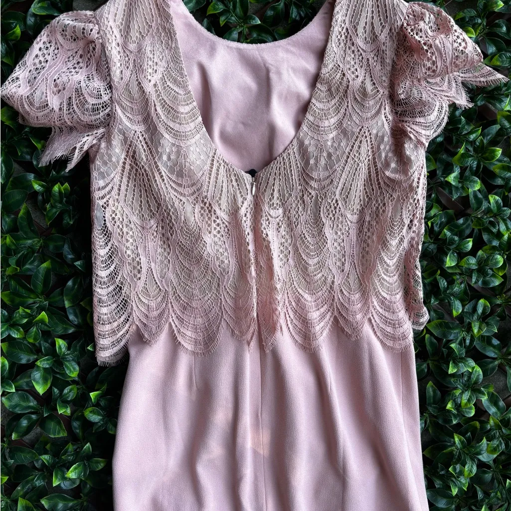 Elegant Pink (Dress The Population) Kenna
Lace Popover Bodice - Image 7