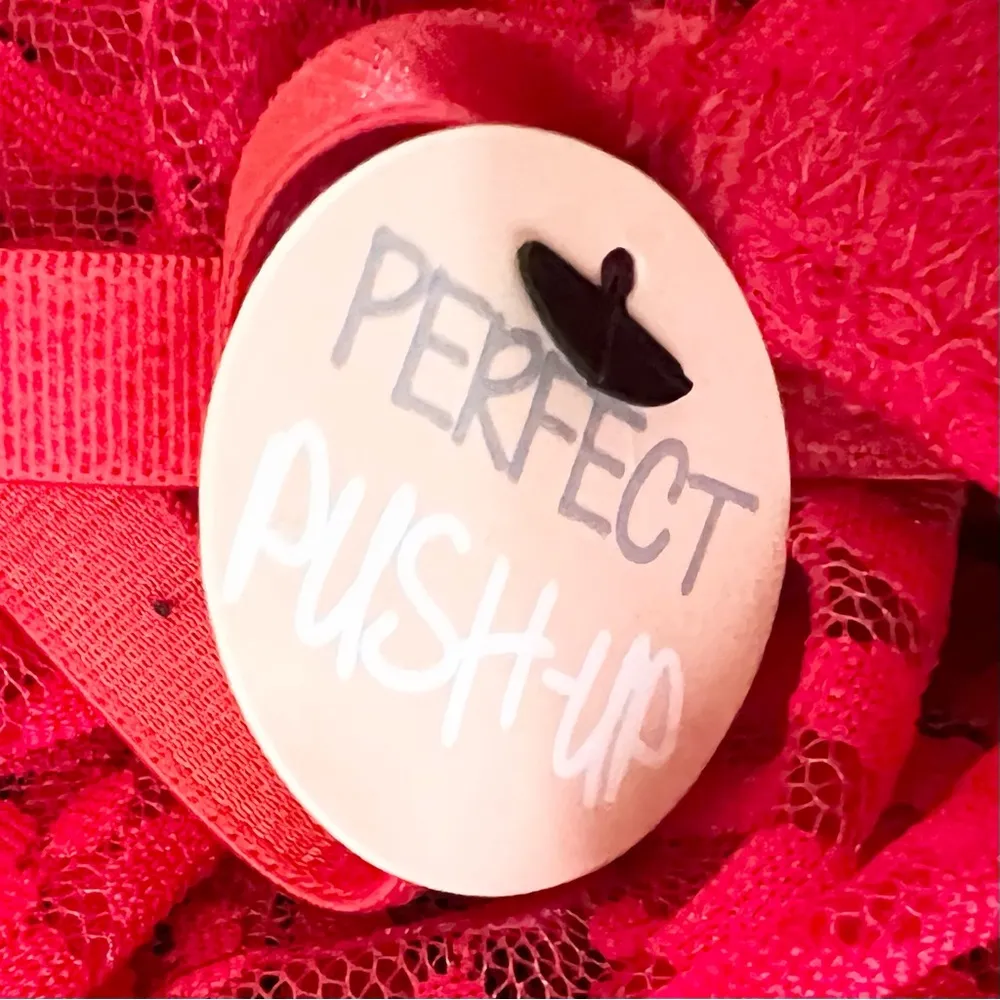 NWT Spree Intimates Pink Lace Sheer Mesh Push - Image 14