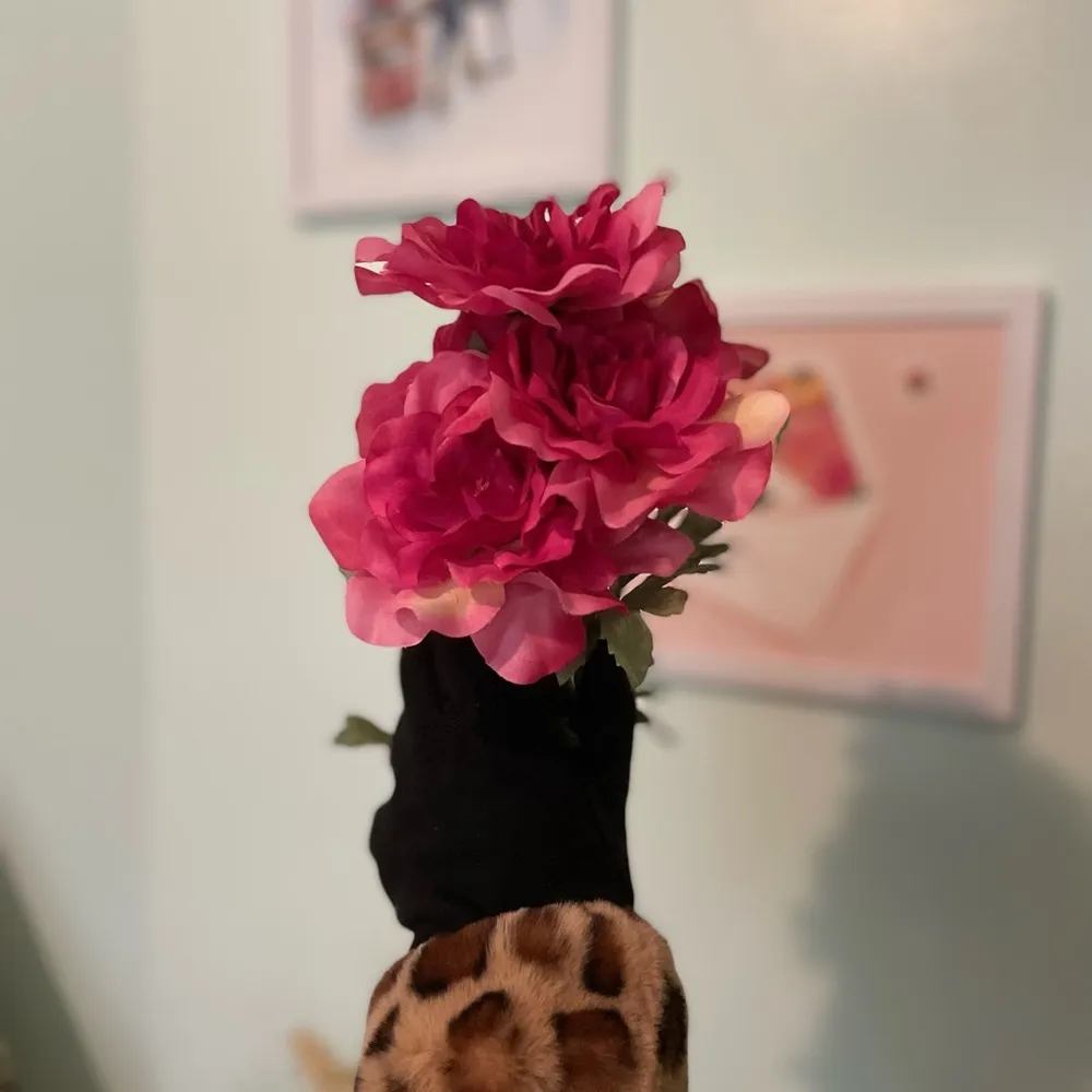 Women’s Black Suede Leopard Print Gloves Animal Print Winter Accessories EUC - Image 5