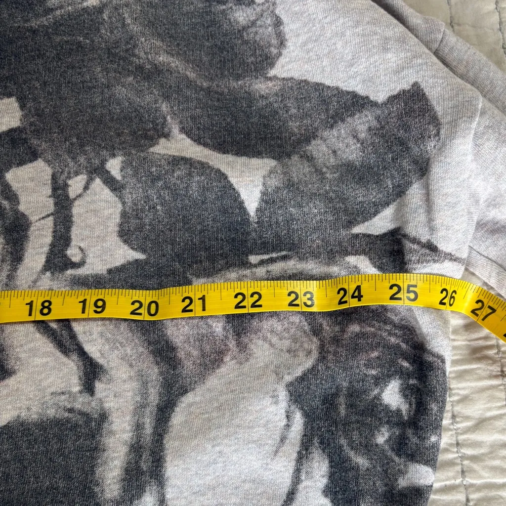 All Saints Rosen Unai Sweatshirt, light‎ grey with dark rose print, size S EUC - Image 4