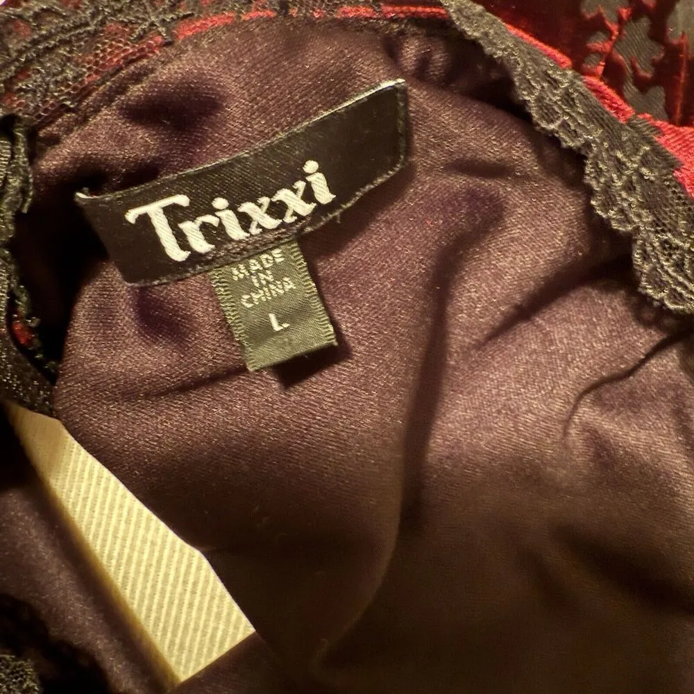 Trixxi Dress Sz LG Burgundy Velvet Dark Romantic Babydoll Whimsigoth Vampire EUC - Image 11
