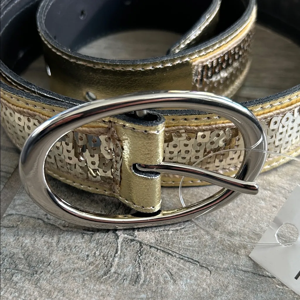 Gold sequin Belt with Silver Buckle - Image 2