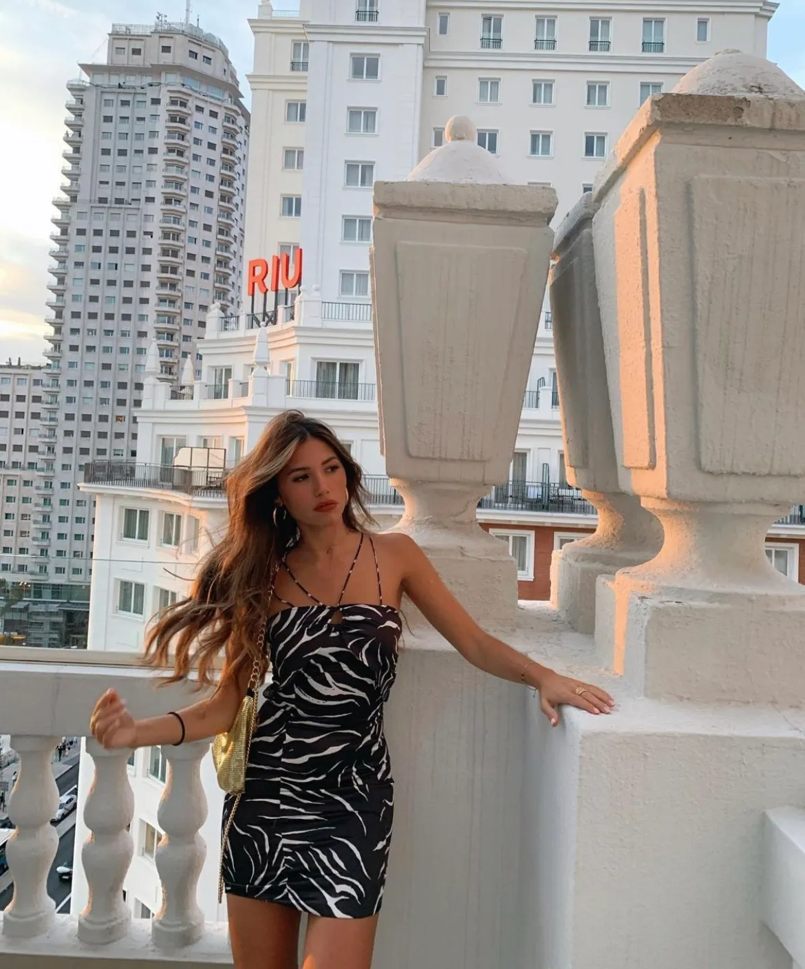 Animal Print Short Dress - Image 6