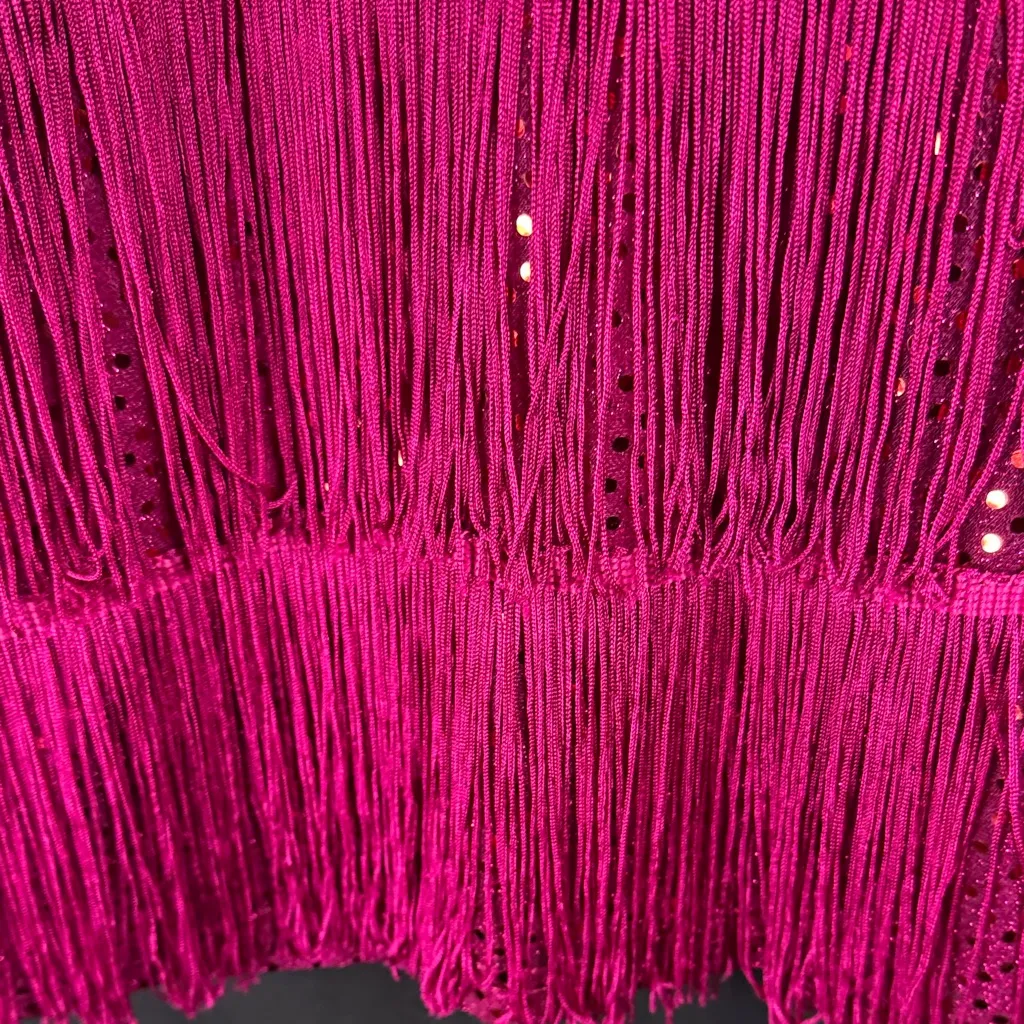 Fun Costumes Pink Sequin Fringe Dress Size 1X - Image 4