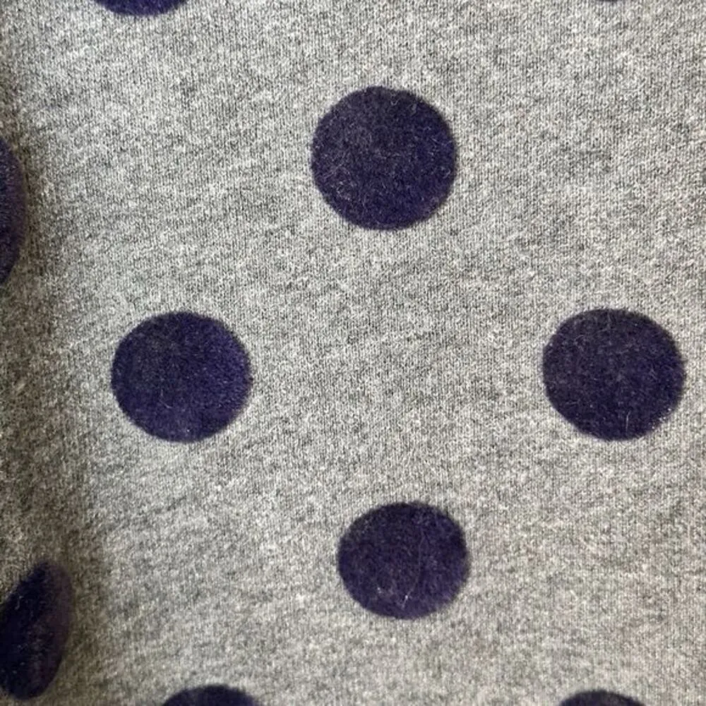 J Crew XS textured Velvet Polka‎ Dot Raglan Sweatshirt Crew Neck Preppy - Image 5