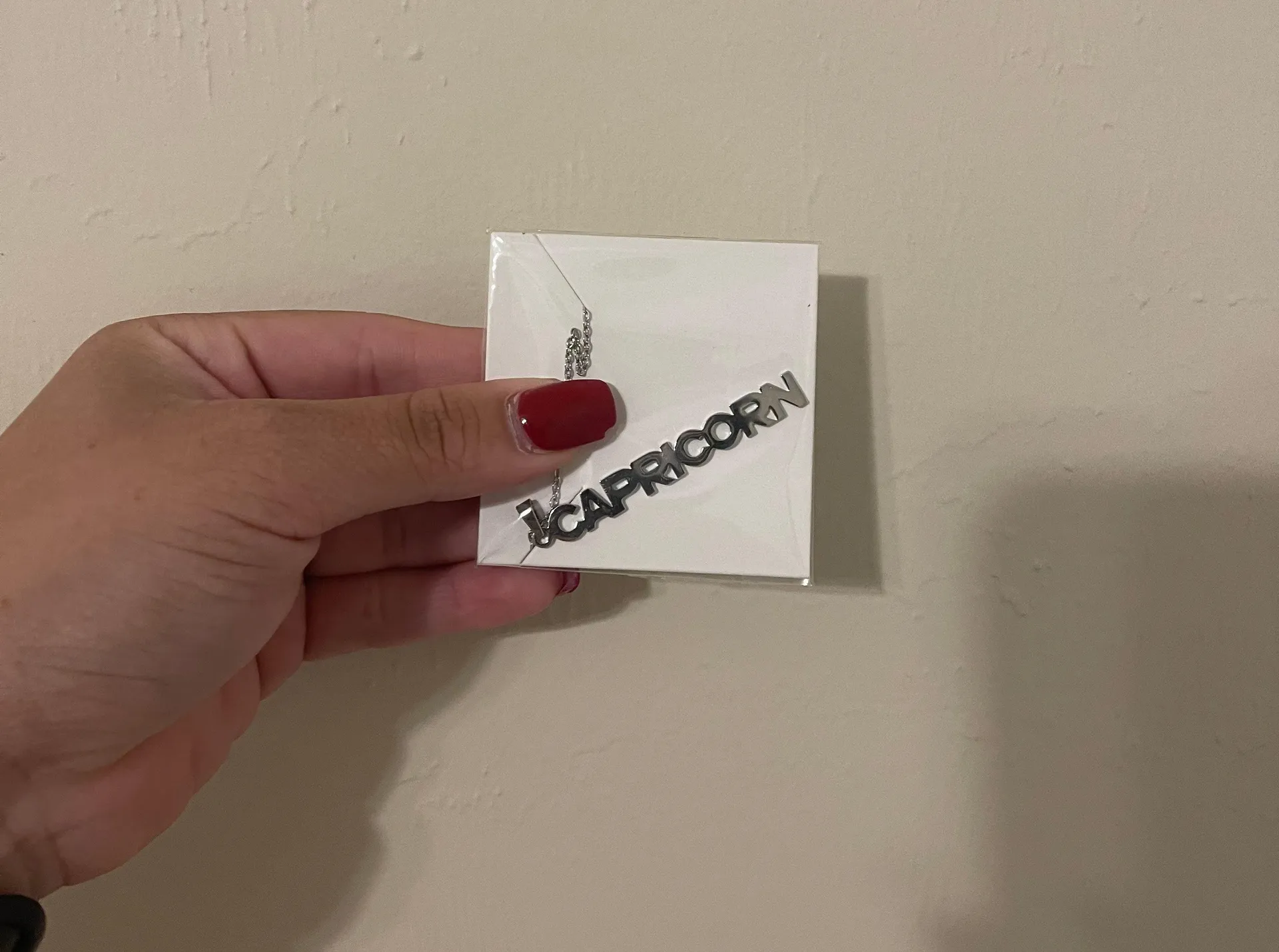 Stainless Steel Capricorn Zodiac Necklace Silver - Image 2