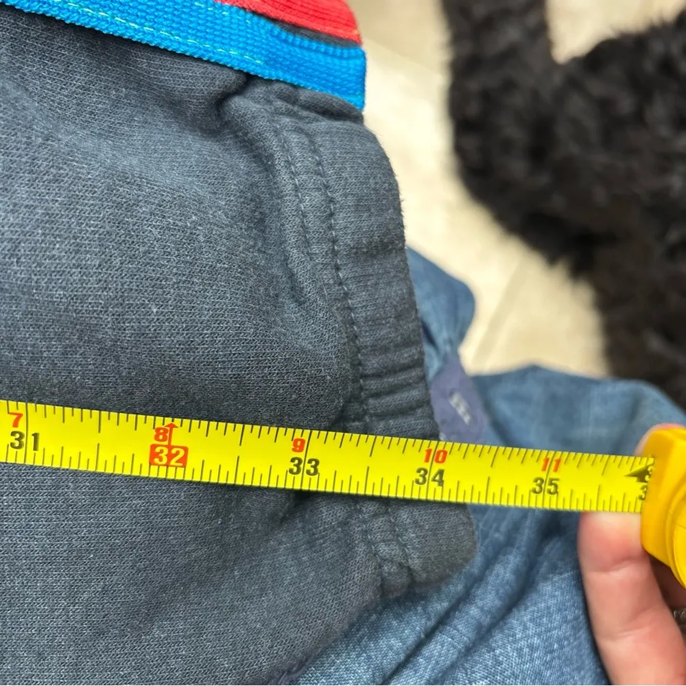 Aviator Nation Gray Sweatpants with Multicolor Stripes - Image 4