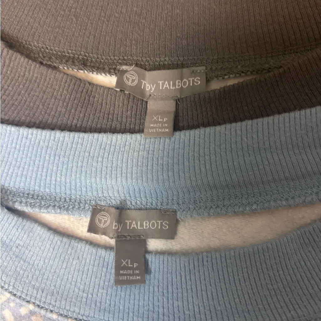 Bundle of T by Talbots Blue & Gray Comfy Cozy Soft Zig Zag Geo Pullover Sweaters - Image 2