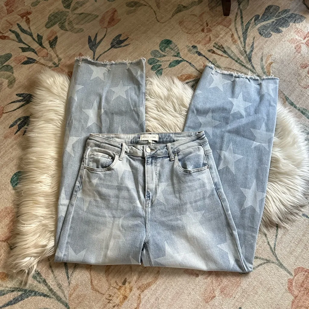 RISEN Straight Leg Star Jeans Blue Size 31 - Image 2