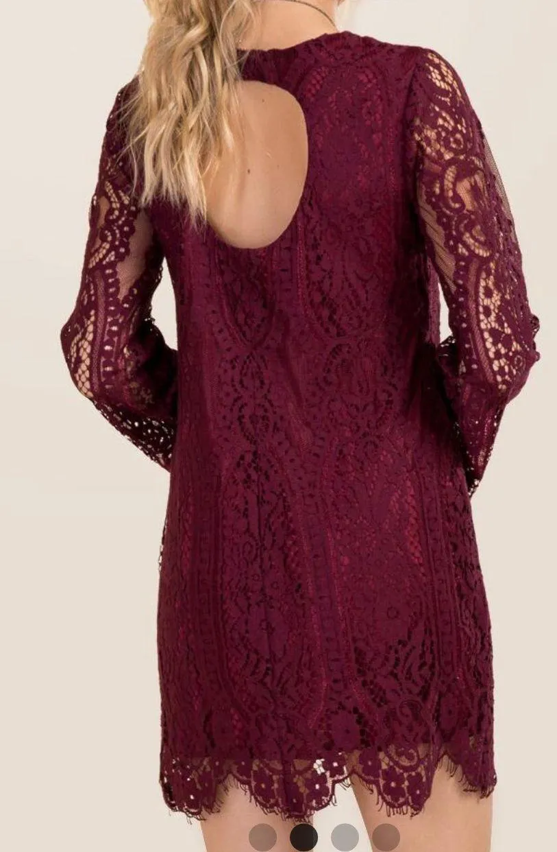 Francescas Burgundy Carson Lace Shift Dress NWT! - Image 2