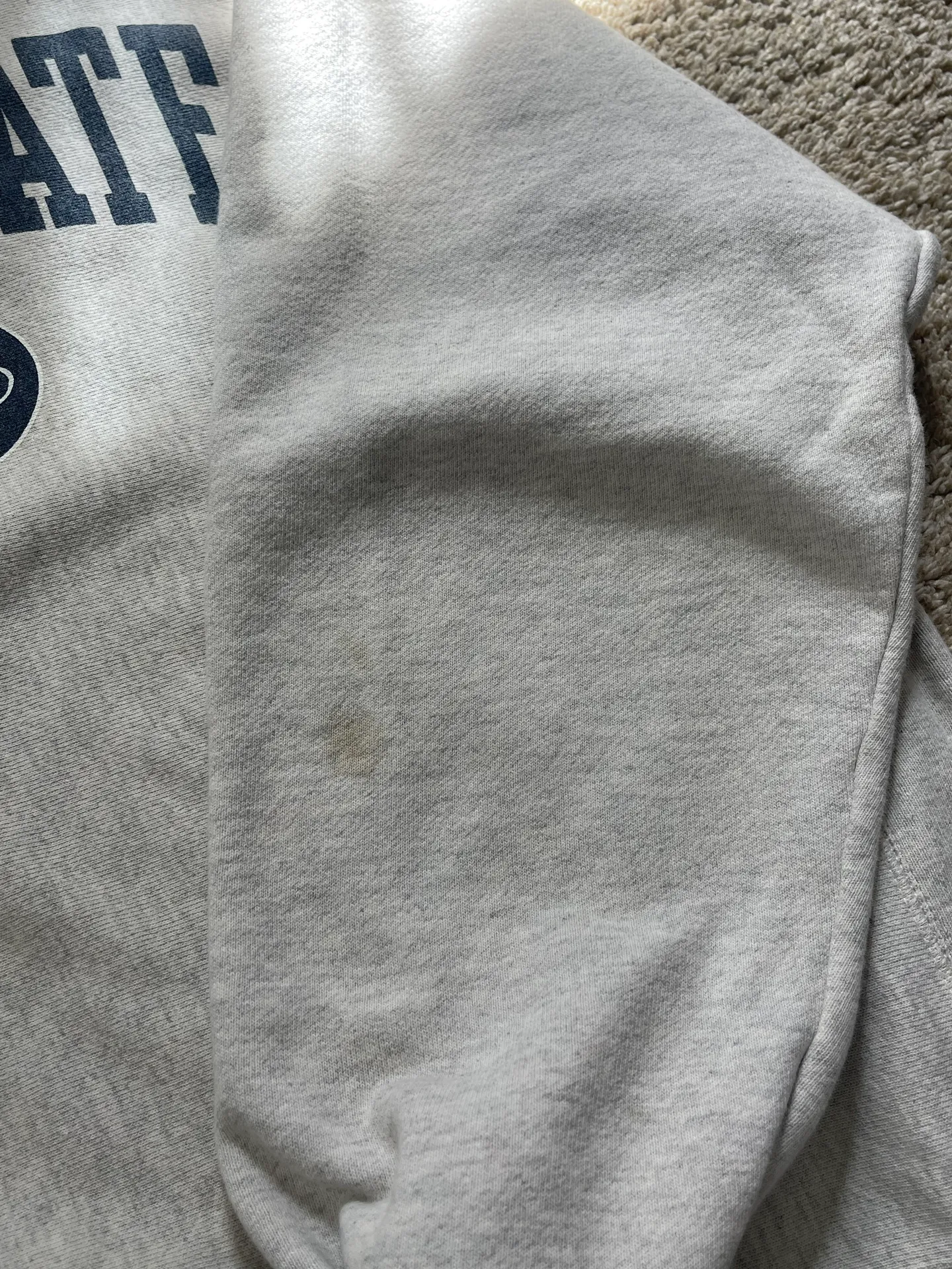 Reverse Weave Penn State Crewneck - Image 3