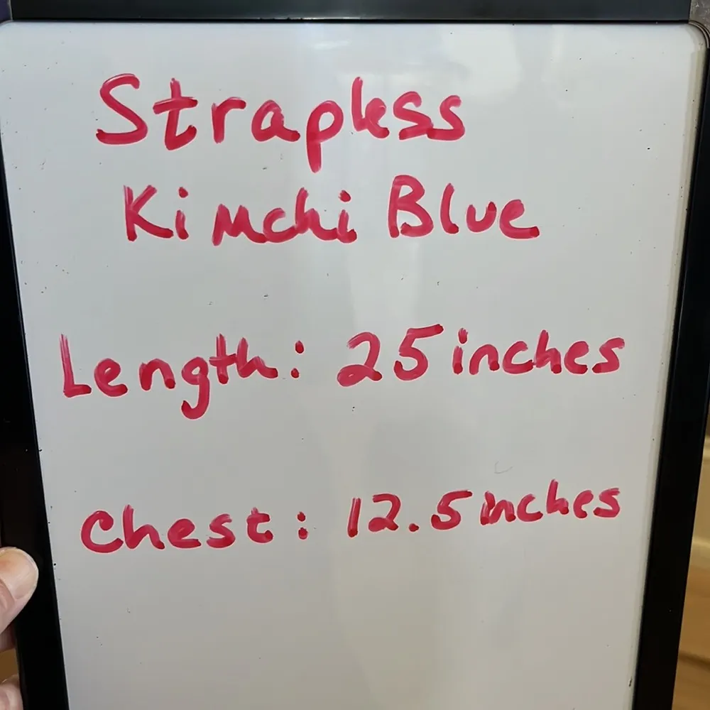 Beige Embroidered Strapless Mini Dress Womens XS - Image 16