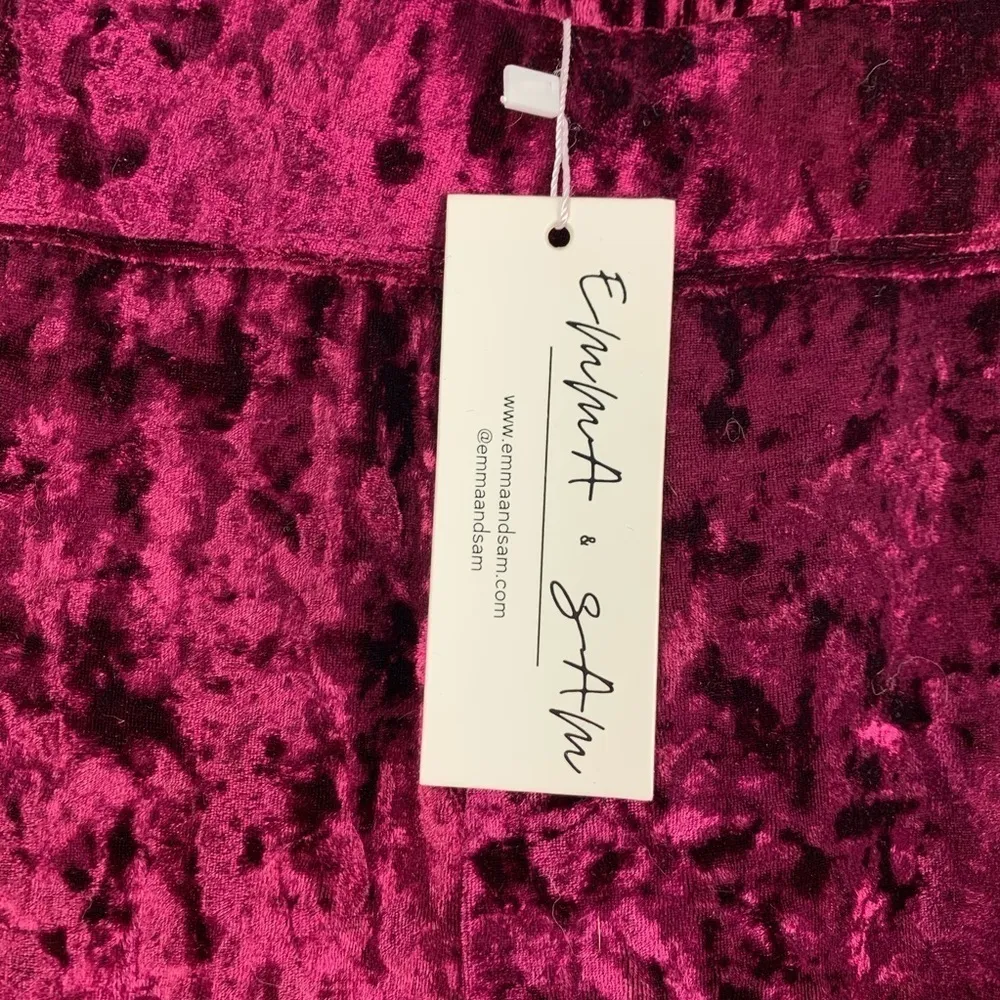 NWT LF Emma & Sam Crushed Velvet Sweatpants XS - Image 6