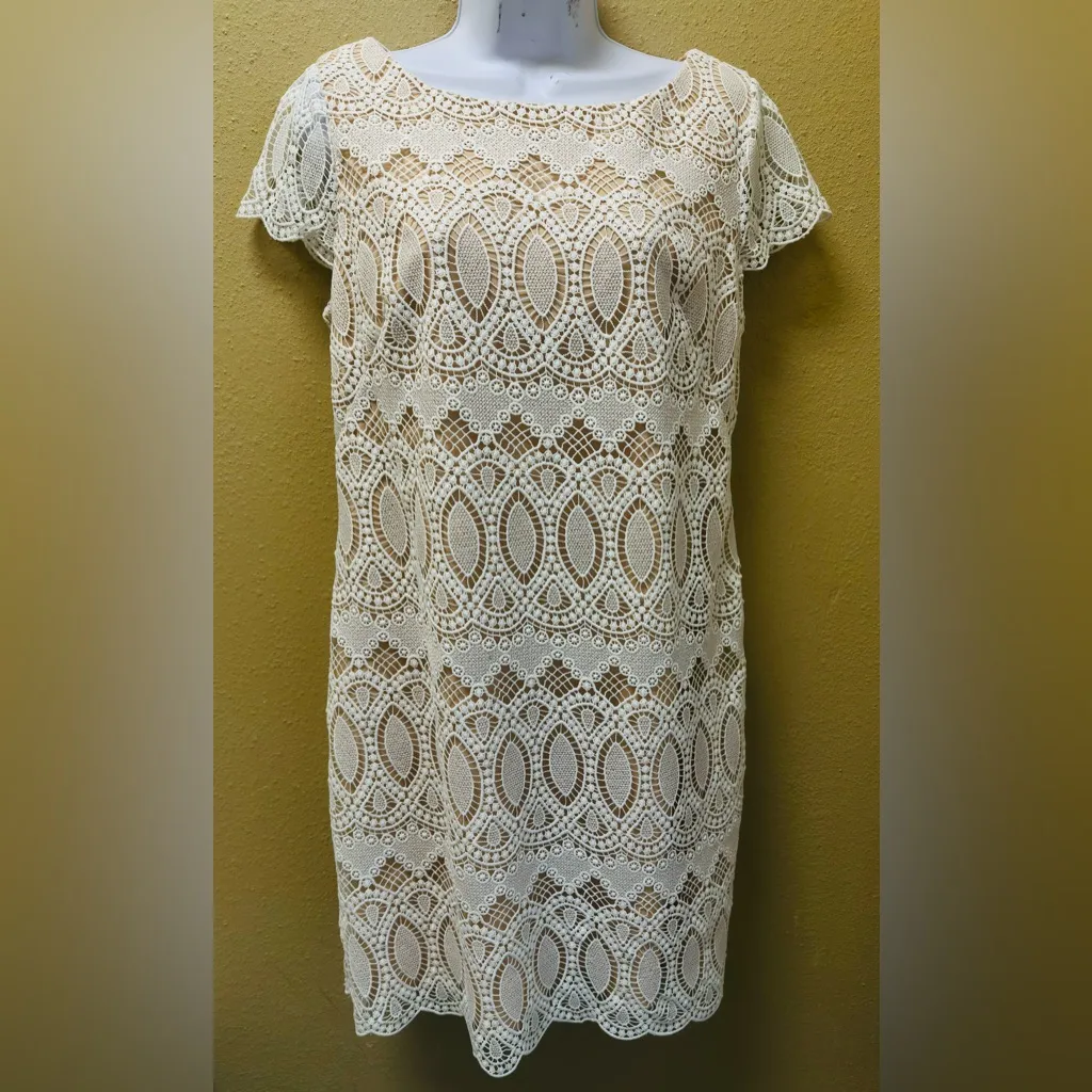 ELIZA J  SEXY CHIC CROCHET LACE SCALLOPED SHEATH    DRESS Sz 10 retail $ 148 - Image 5