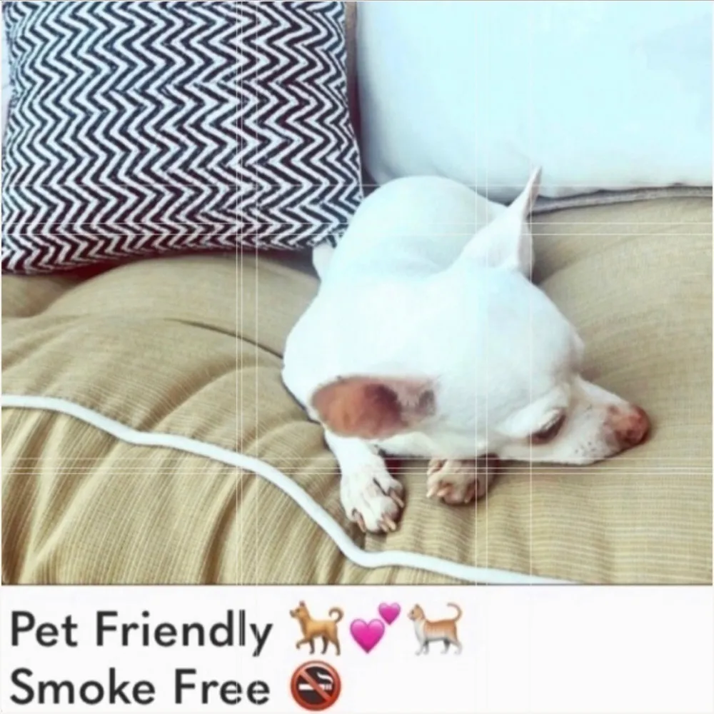 𝅺LOFT 🌴 2/$12 SALE mauve pink cropped jeans flaw - Image 12