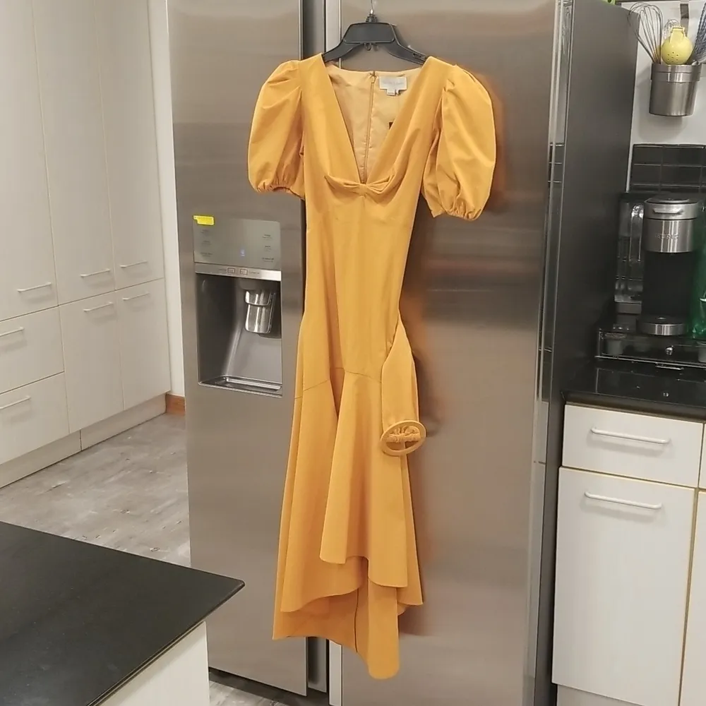 💕SACHIN & BABI💕 Layla Dress ~ Puff Sleeve Gown Desert 6 NWT - Image 10