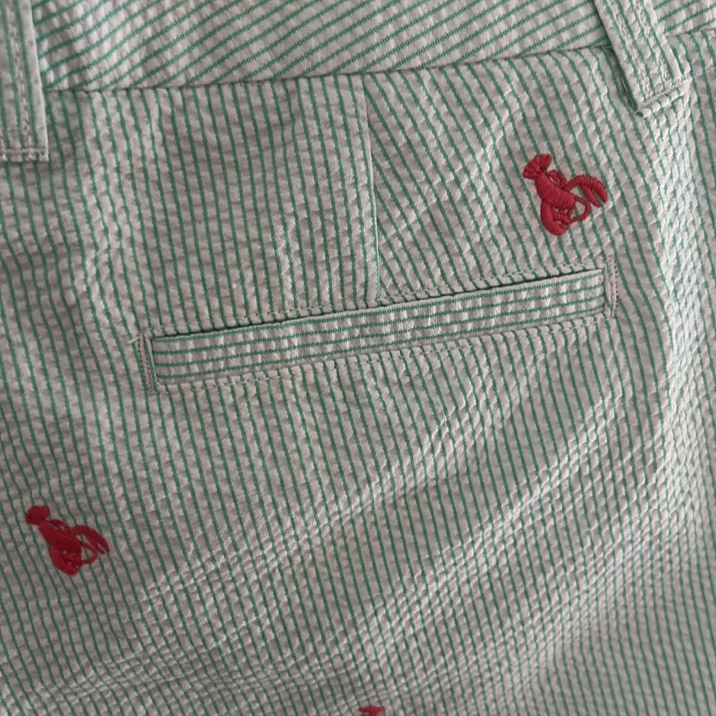 J. Crew City Fit Green /White Tiny Striped Shorts w/ Lobster Embroidery sz 8 - Image 5
