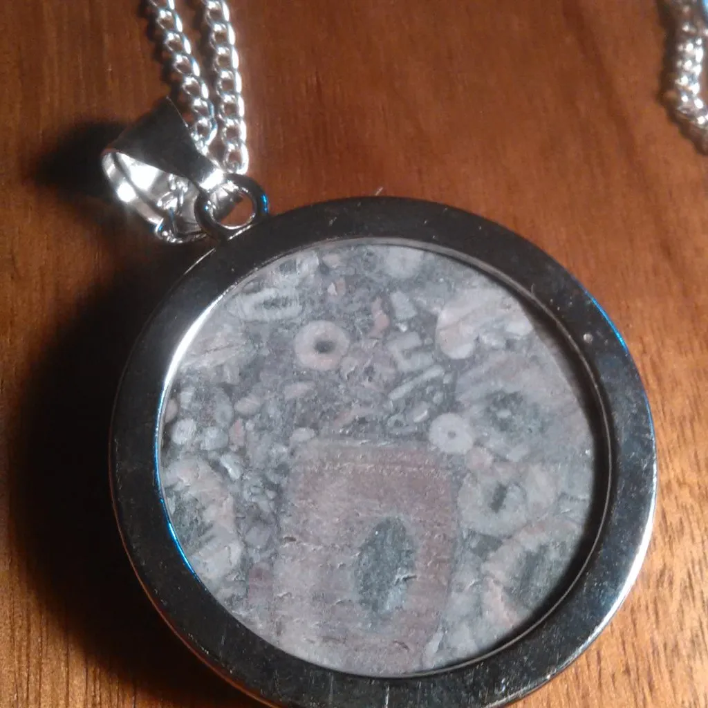 Insect Fossil Jasper Silvertone Pendant Necklace - Image 6