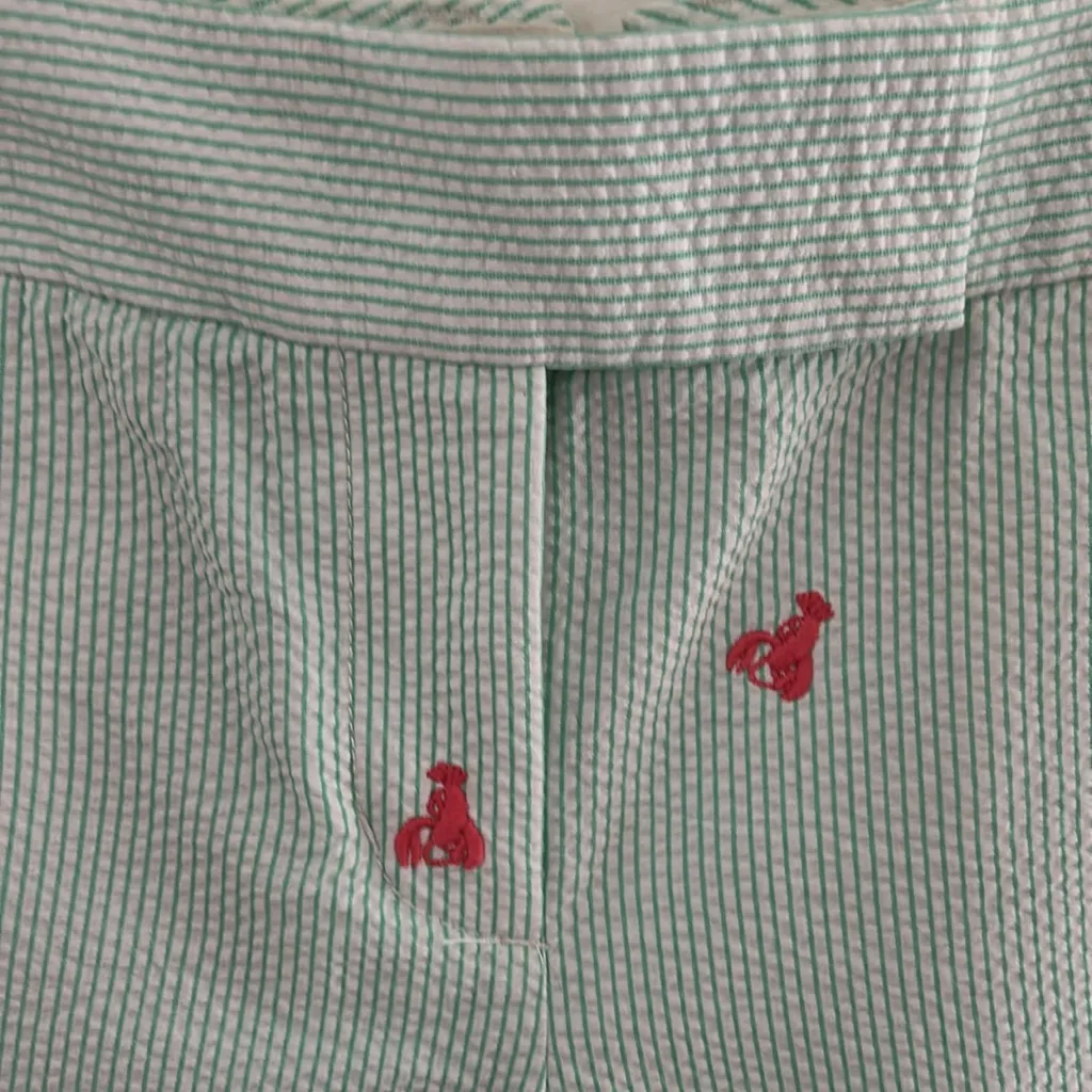J. Crew City Fit Green /White Tiny Striped Shorts w/ Lobster Embroidery sz 8 - Image 3