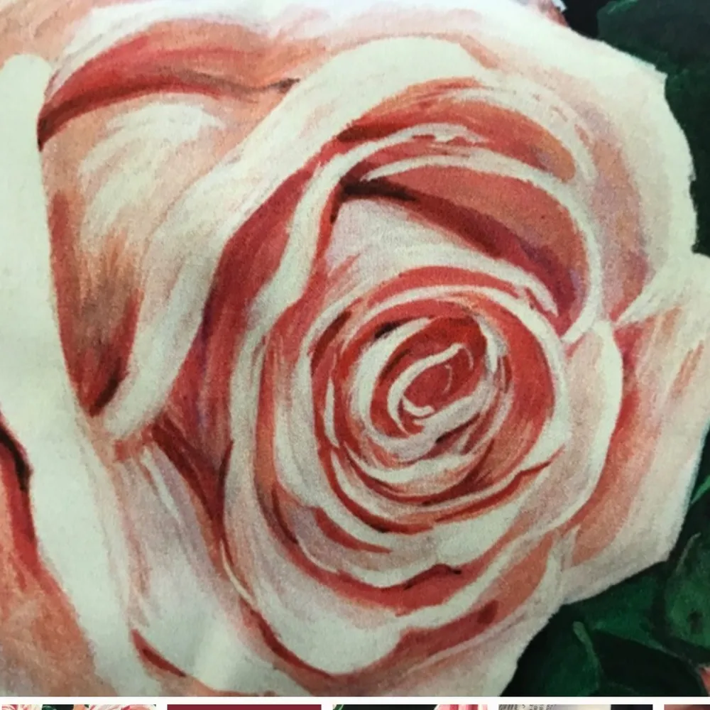 NWT Dolce&gabbana rose print silk dress - Image 9