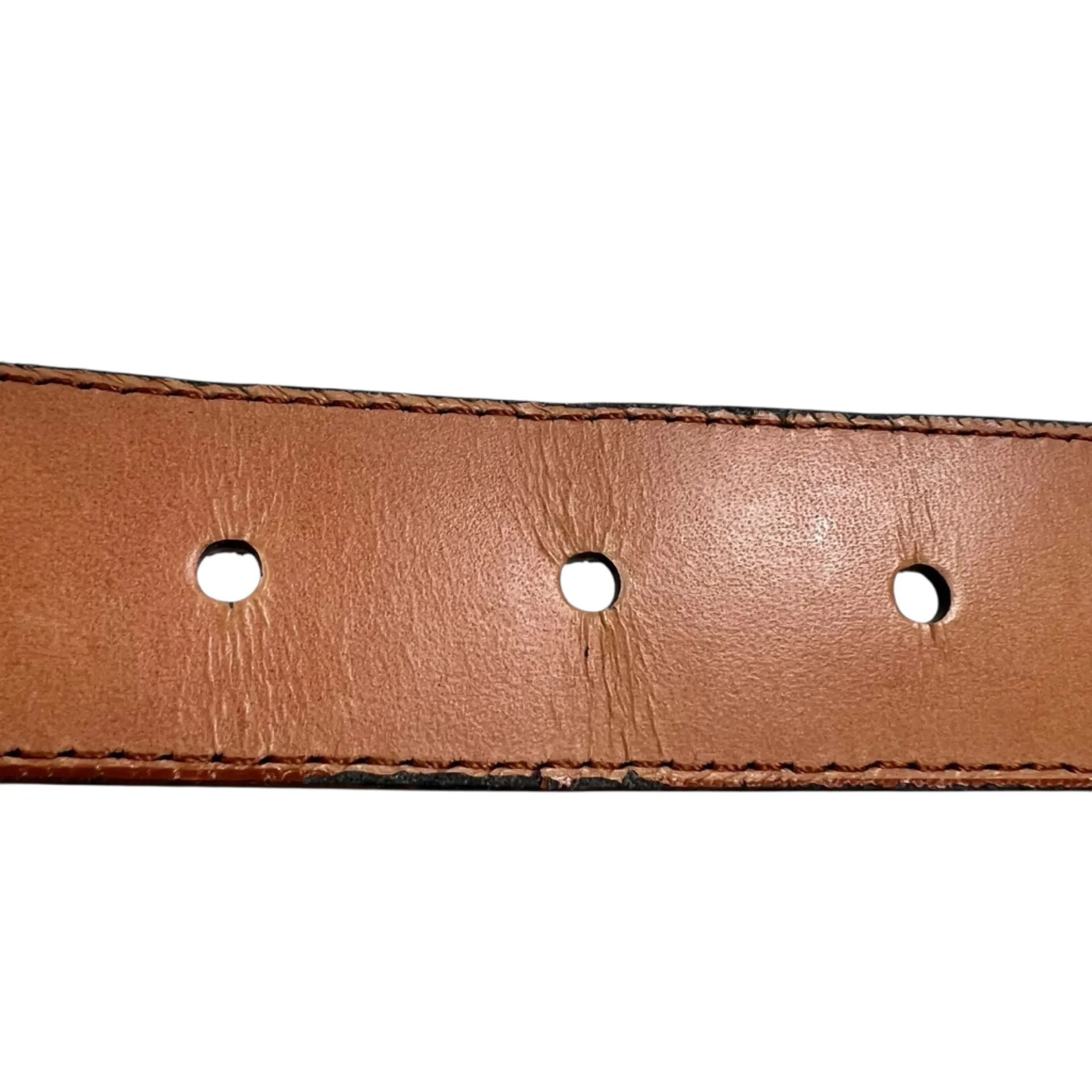 Sunbelt Belt Southwestern Embellished Animal Studded Light Brown Belt Tan - Image 9