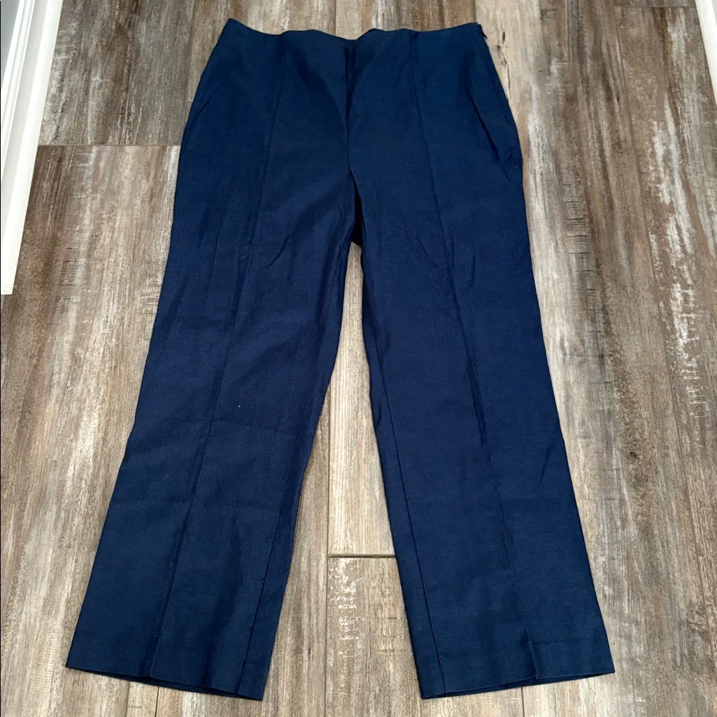 Ann Taylor blue side zip front seam pants size 14 NEW - Image 2