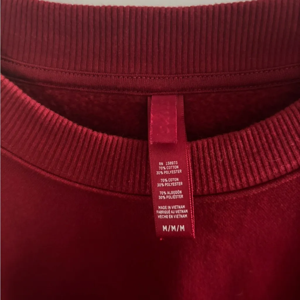 Skims Cotton Fleece Crewneck- Limited Edition Brick - Image 2