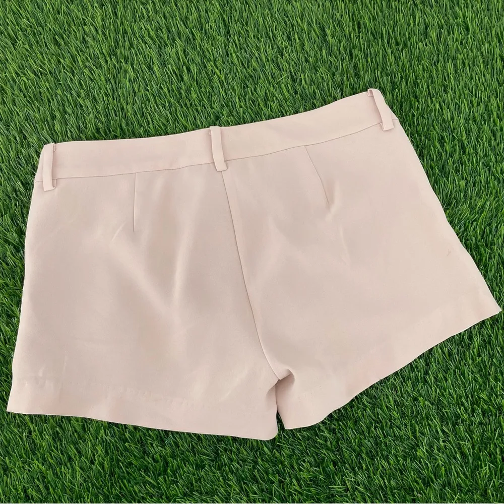 Amanda Uprichard Side Stripe Silky Short - Image 4