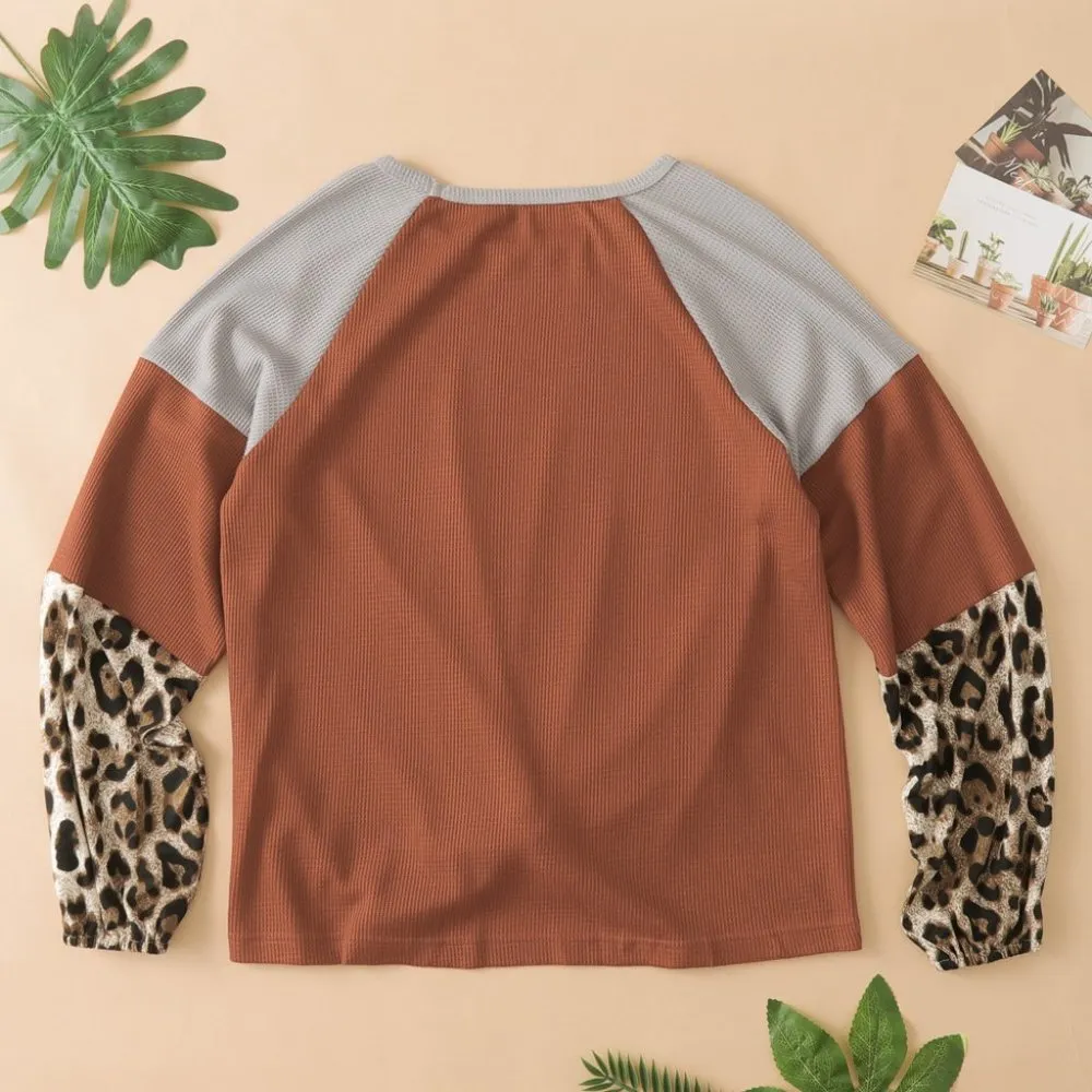 WAFFLE KNIT LEOPARD LONG SLEEVE BLOUSE TWIST KNOT Size undefined - Image 3