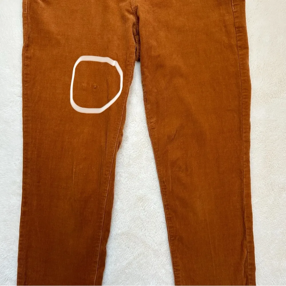 Pilcro and the Letterpress Women's Serif Skinny Corduroy Jeans Rust Size 27 - Image 12
